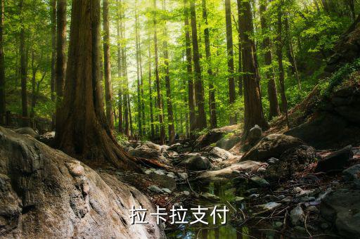 拉卡拉便利支付是什么，什么是銀聯(lián)拉卡啦支付
