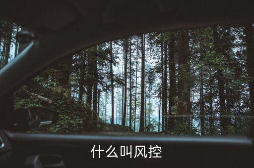 易到風(fēng)控什么意思，什么叫風(fēng)控
