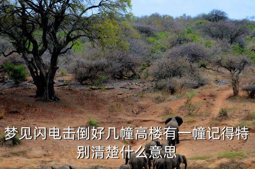 什么是閃電崩盤，a mini flash crash什么意思