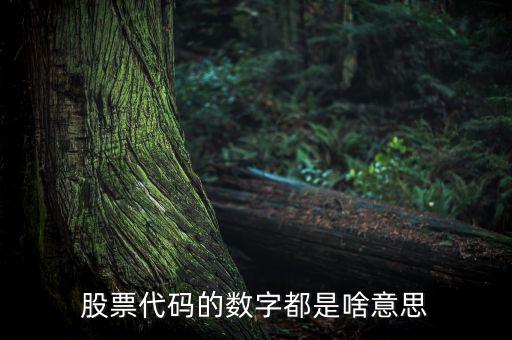 股票名稱(chēng)下面的數(shù)字是什么，請(qǐng)教高手股票名稱(chēng)后面的那些數(shù)字代表什么意思