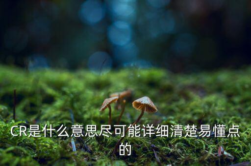 CR是什么意思盡可能詳細清楚易懂點的