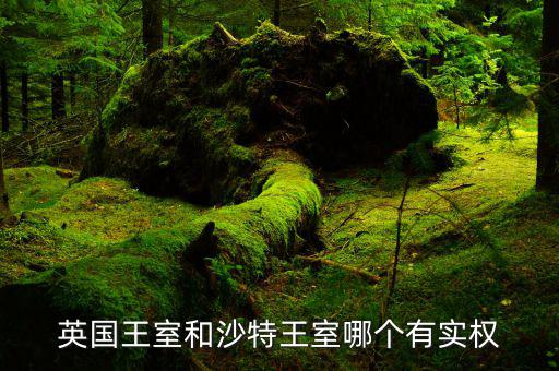 沙特王子有什么特權(quán)，有錢任性沙特王子為什么那么有錢