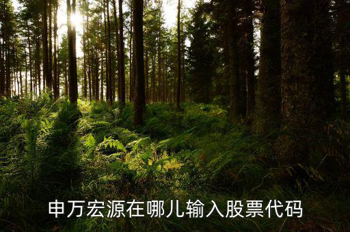 申萬宏源為什么用字母查不到股票，申萬宏源在哪兒輸入股票代碼