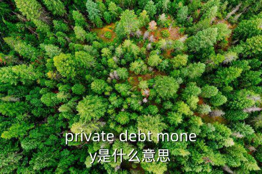 私人配售什么意思，private debt placement是什么意思啊