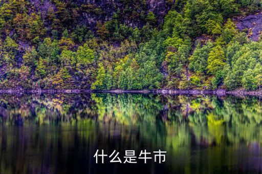 牛市熊市是什么意思，什么是牛市和熊市