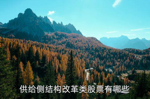 供給側最利好什么股票，供給側改革概念股有哪些