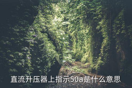 上證50a什么意思，招商央視財(cái)經(jīng)50a后面的a什么意思