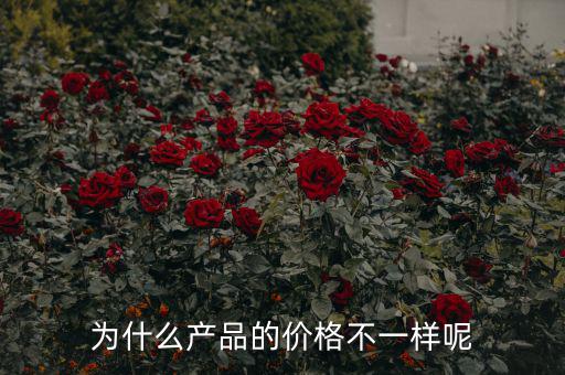 為什么產品的價格不一樣呢