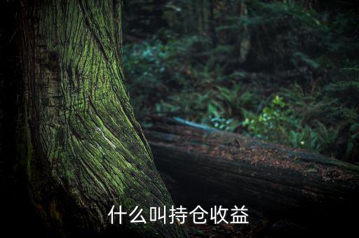 理財里的持倉收益是什么意思，基金 持倉收益7579 是什么意思啊 本人是新手