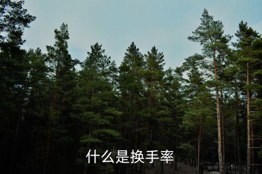 換手率說明什么，什么是換手率