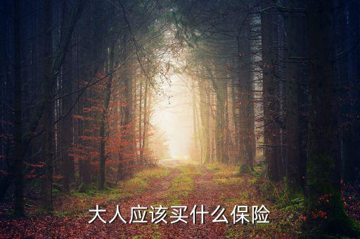 大人買什么保險最好，大人保險哪個比較合適