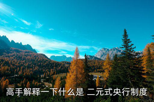 什么是二元體制，什么是二元制