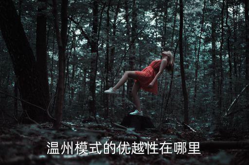 溫州模式為什么具有很強的經(jīng)濟性，溫州模式取得成功的原因6分題