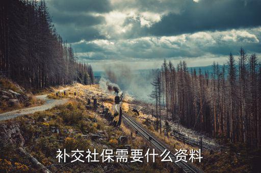 社保補繳需要什么資料，補交社保需要什么資料