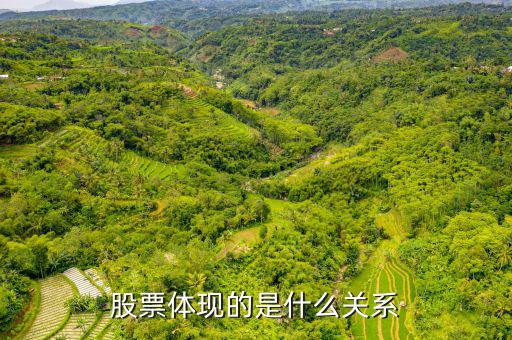 股票體現(xiàn)的是什么，股票到底反映的是什么
