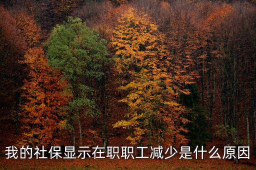 社保突然降了是什么原因，我的社保顯示在職職工減少是什么原因