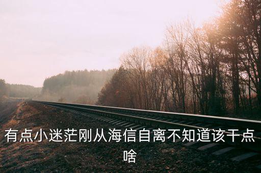 海信田野做什么工作，青島海信工程師做什么工作