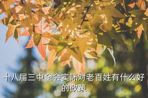 十八屆三中以來對此出臺了什么文件，剛剛閉幕的十八屆三中全會發(fā)布的公告其核心內容是什么