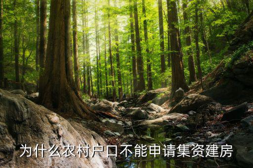 為什么現(xiàn)在不能集資，為什么農(nóng)村戶口不能申請集資建房