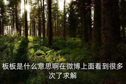 要板了是什么意思，板板是什么意思啊在微博上面看到很多次了求解