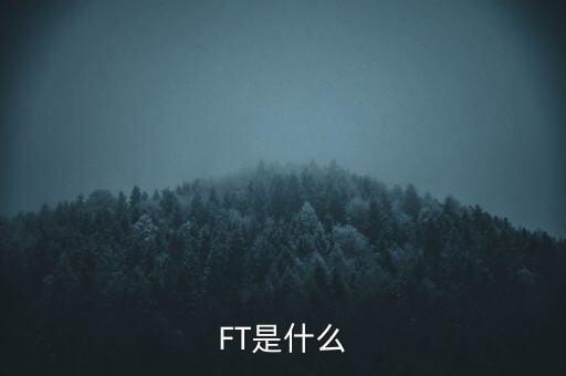 什么是FT調(diào)查，F(xiàn)T是什么