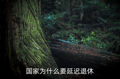 為什么要延遲退休，為什么要推遲退休年齡