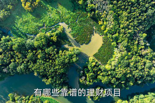 目前什么理財靠譜，有哪些靠譜的理財項目