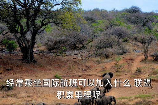 星空聯(lián)盟積分怎么算,南航、東航可通過明珠卡共享積分等