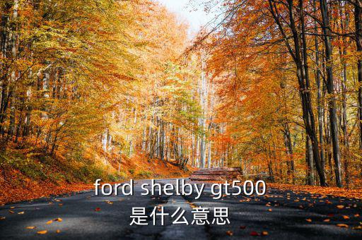 東盟油500是什么，ford shelby gt500是什么意思