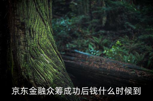 京東金融活動什么時候結束，金條的活動什么時候結束啊