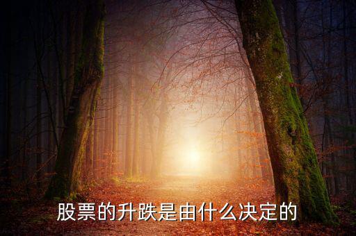 股票根據(jù)什么跌升，股票的升跌是由什么決定的