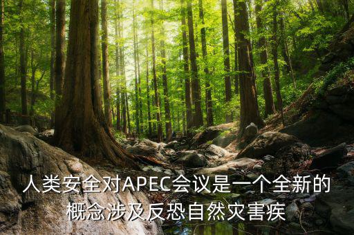 2014apec峰會(huì)簽署了什么文件，亞洲和太平洋地區(qū)經(jīng)濟(jì)合作會(huì)議簡(jiǎn)稱 APEC