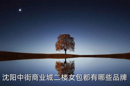 中街商業(yè)城都有什么品牌，沈陽中街商業(yè)城二樓女包都有哪些品牌