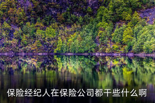 保險經(jīng)紀(jì)人在保險公司都干些什么啊