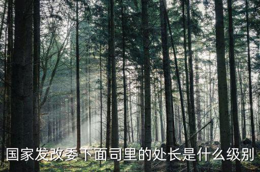 央企處長(zhǎng)是什么級(jí)別，央企比如移動(dòng) 電信 聯(lián)通 中石油石化 這些企業(yè)縣的老總是什么級(jí)別