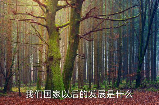 國(guó)家下一步發(fā)展是什么，我國(guó)經(jīng)濟(jì)下一步的發(fā)展方向是什么領(lǐng)域