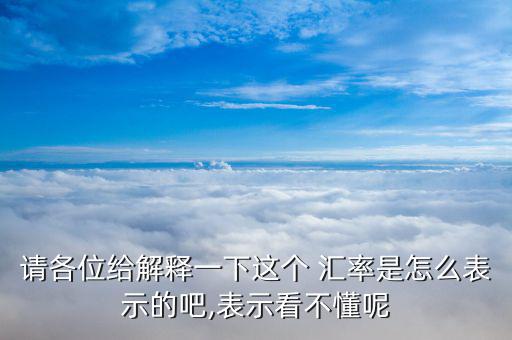 請各位給解釋一下這個(gè) 匯率是怎么表示的吧,表示看不懂呢