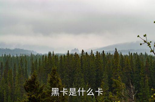 銀行卡黑卡是什么級別，黑卡是什么卡