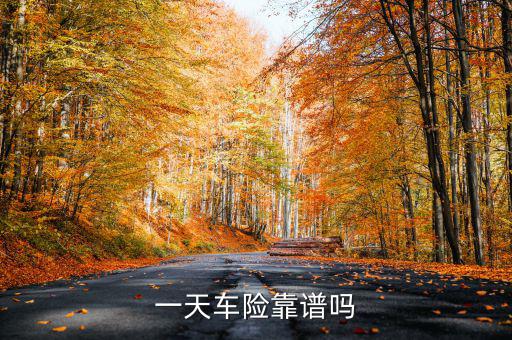 一天車(chē)險(xiǎn)是什么，一天車(chē)險(xiǎn)怎么停駛才有錢(qián)