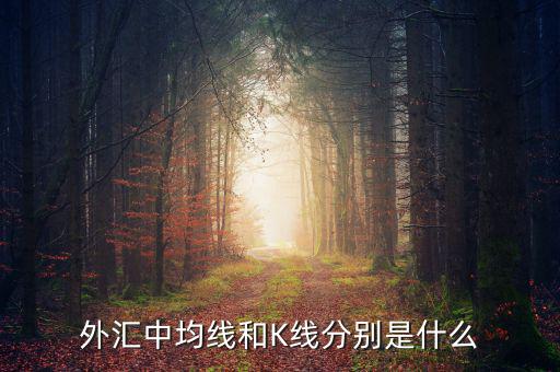 什么叫k線，外匯中均線和K線分別是什么