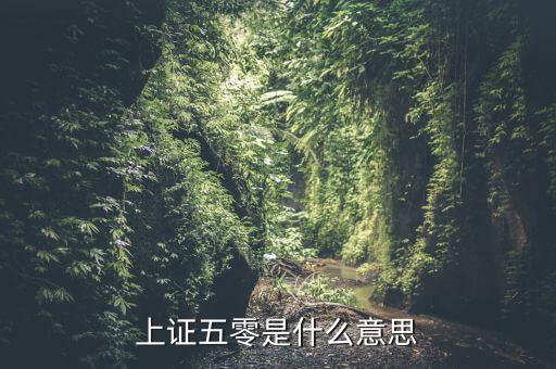 上證50是什么意思，上證50是什么意思還有什么800什么的