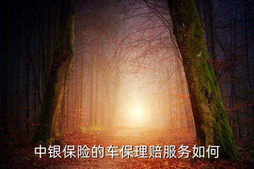 中銀保險車險vip客戶有什么權(quán)利，中銀保險的車保理賠服務(wù)如何