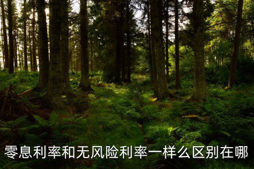 即期利率是什么，定期的利息和國期的利息是什么