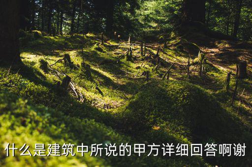 為什么說(shuō)mint是甲方，MINTS DOUBLEMINT是什么意思