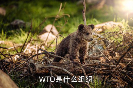 ypg是什么組織，橘子是由哪些組織構(gòu)成的