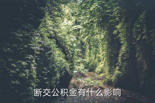 公積金斷了有什么影響，停繳公積金有什么影響