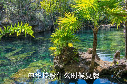 000650什么時間復(fù)牌，金馬股份什么時候復(fù)牌