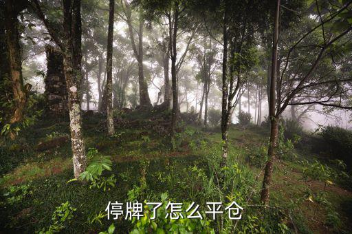 股票黑名單什么意思，股票配售黑名單是什么意思