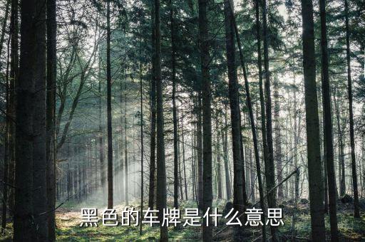 美國黑色車牌代表什么，黑色的汽車車牌是什么意思
