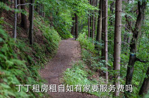 丁丁租房都收取什么費(fèi)用，丁丁租琴的費(fèi)用怎么算